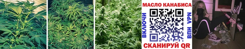 блэк спрут ссылки  Пущино  Дистиллят ТГК THC oil 