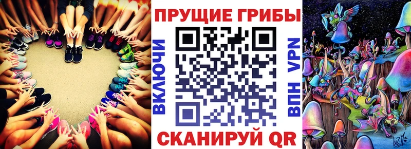Псилоцибиновые грибы Psilocybine cubensis  хочу   Пущино 